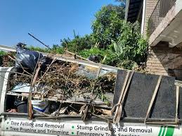 Best Same-Day Junk Removal Services  in Healdsburg, CA